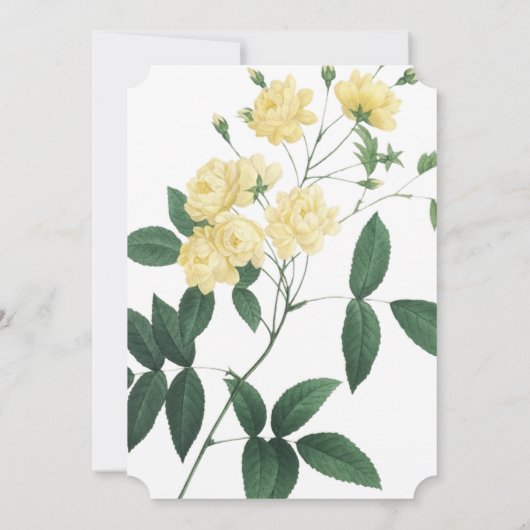 美しい黄色の花赤ちゃんシャワー招待状 招待状 (裏面)