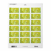 美しい黄色バラ ラベル (フルシート)