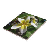 美しい黄色白のプルメリアの花 タイル (側面)