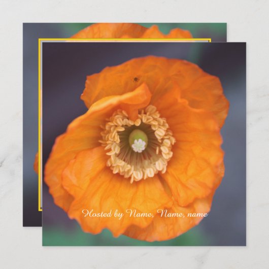 美しい黄金の野生のケシの花すべてパーティー 招待状 (正面/裏面)