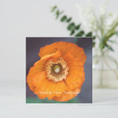 美しい黄金の野生のケシの花すべてパーティー 招待状 (スタンド正面)