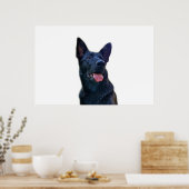 美しい黒いドイツの羊飼い ポスター (キッチン)