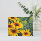 美しい黒い目のスーザンフラワーガーデン ポストカード (スタンド正面)