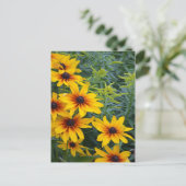 美しい黒い目のスーザンフラワーガーデン ポストカード (スタンド正面)