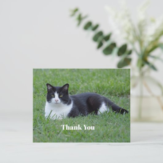 美しい黒と白のスーツ姿の猫の写真をありがとう ポストカード (スタンド正面)