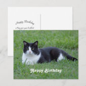 美しい黒と白のタキシード猫の写真 誕生日 ポストカード (正面/裏面)