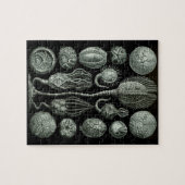 美しい黒と白の嚢胞の化石写真 ジグソーパズル (横)