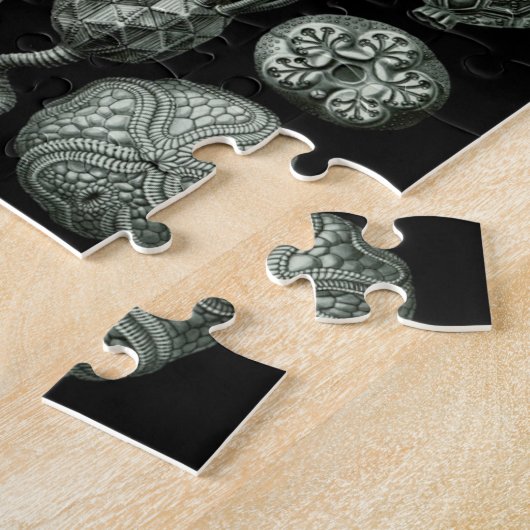 美しい黒と白の嚢胞の化石写真 ジグソーパズル (側面)