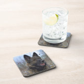 美しい黒と褐色のドイツの羊飼いの子犬 コースター (右側)