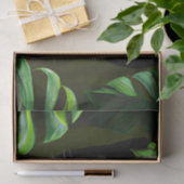 美しい黒のヒョウ 薄葉紙 (ギフト)