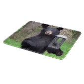 美しい黒熊ガラス カッティングボード (角)