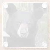 美しい黒熊 ガラスコースター (裏面)