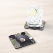 美しい黒熊 コースター (右側)