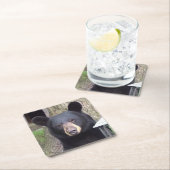 美しい黒熊 スクエアペーパーコースター (インサイチュ)