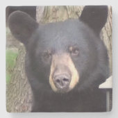 美しい黒熊 ストーンコースター (正面)