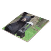 美しい黒熊 タイル (側面)