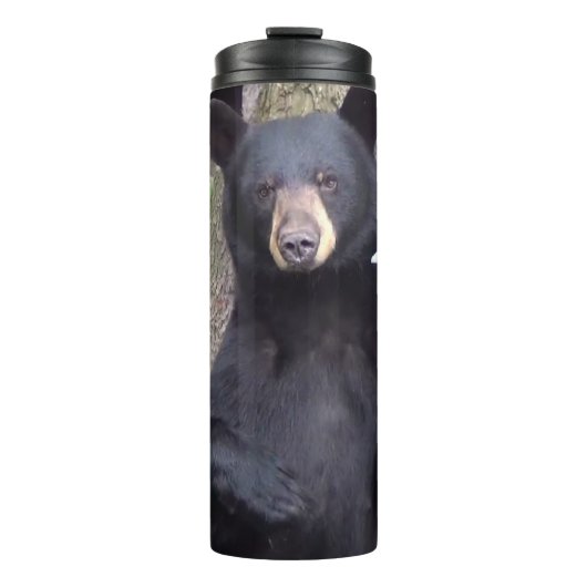 美しい黒熊 タンブラー (正面)