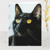 美しい黒猫の大きく空白のな挨拶状 カード (黄色い花)