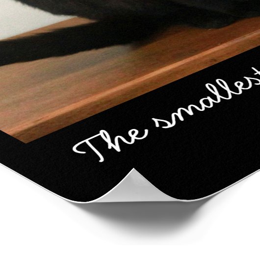 美しい黒猫 ポスター (角)