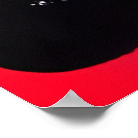 美しい黒猫 ポスター (角)