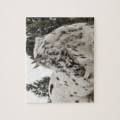 美しい黒白アパロオーサの馬 ジグソーパズル (縦)