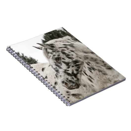 美しい黒白アパロオーサの馬 ノートブック (右側)