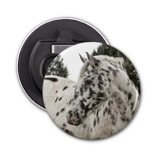 美しい黒白アパロオーサの馬 栓抜き (正面)