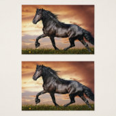 美しい黒馬 (正面&裏面)