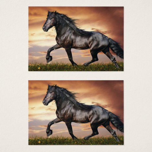美しい黒馬 (正面&裏面)