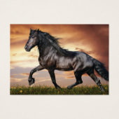 美しい黒馬 (正面)