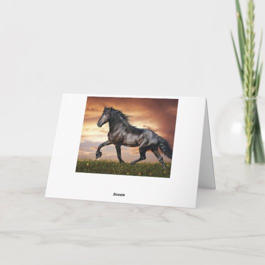 美しい黒馬 カード (裏面)