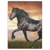 美しい黒馬 クリップボード (裏面)