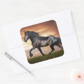 美しい黒馬 スクエアシール (封筒)