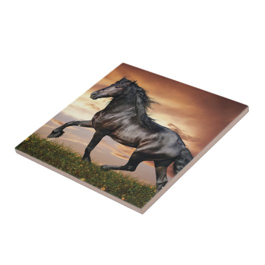 美しい黒馬 タイル (側面)
