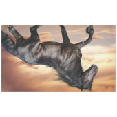 美しい黒馬 テーブルクロス (正面(横))