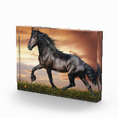 美しい黒馬 フォトブロック (右)