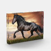 美しい黒馬 フォトブロック (左)