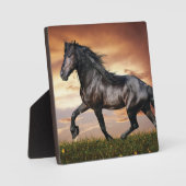 美しい黒馬 フォトプラーク (正面)