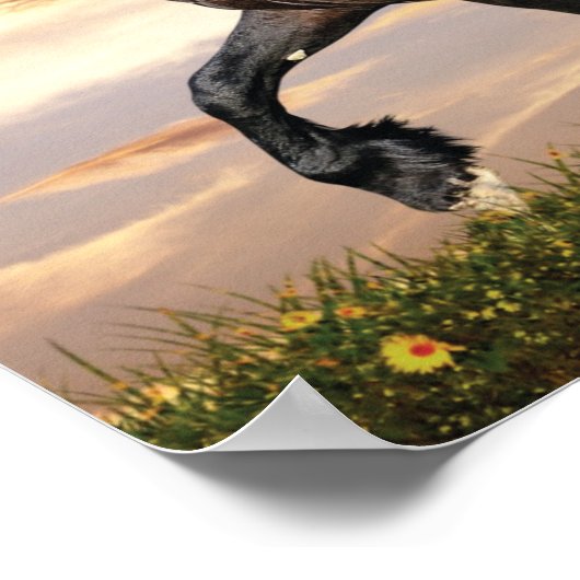 美しい黒馬 ポスター (角)