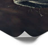 美しい黒馬 ポスター (角)