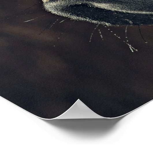 美しい黒馬 ポスター (角)