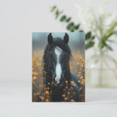 美しい黒馬 ポストカード (スタンド正面)