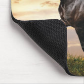 美しい黒馬 マウスパッド (コーナー)