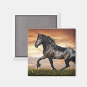 美しい黒馬 マグネット (正面/裏面)
