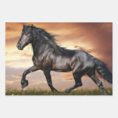 美しい黒馬 ラッピングペーパーシート (正面)