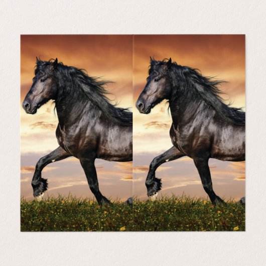 美しい黒馬 名刺 (外部フラット)