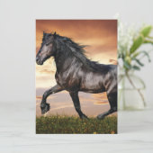 美しい黒馬 招待状 (スタンド正面)