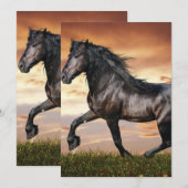 美しい黒馬 招待状 (正面/裏面)