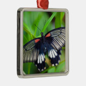 美しい黒、白、赤の蝶 メタルオーナメント (右)