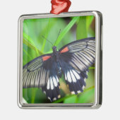 美しい黒、白、赤の蝶 メタルオーナメント (左)